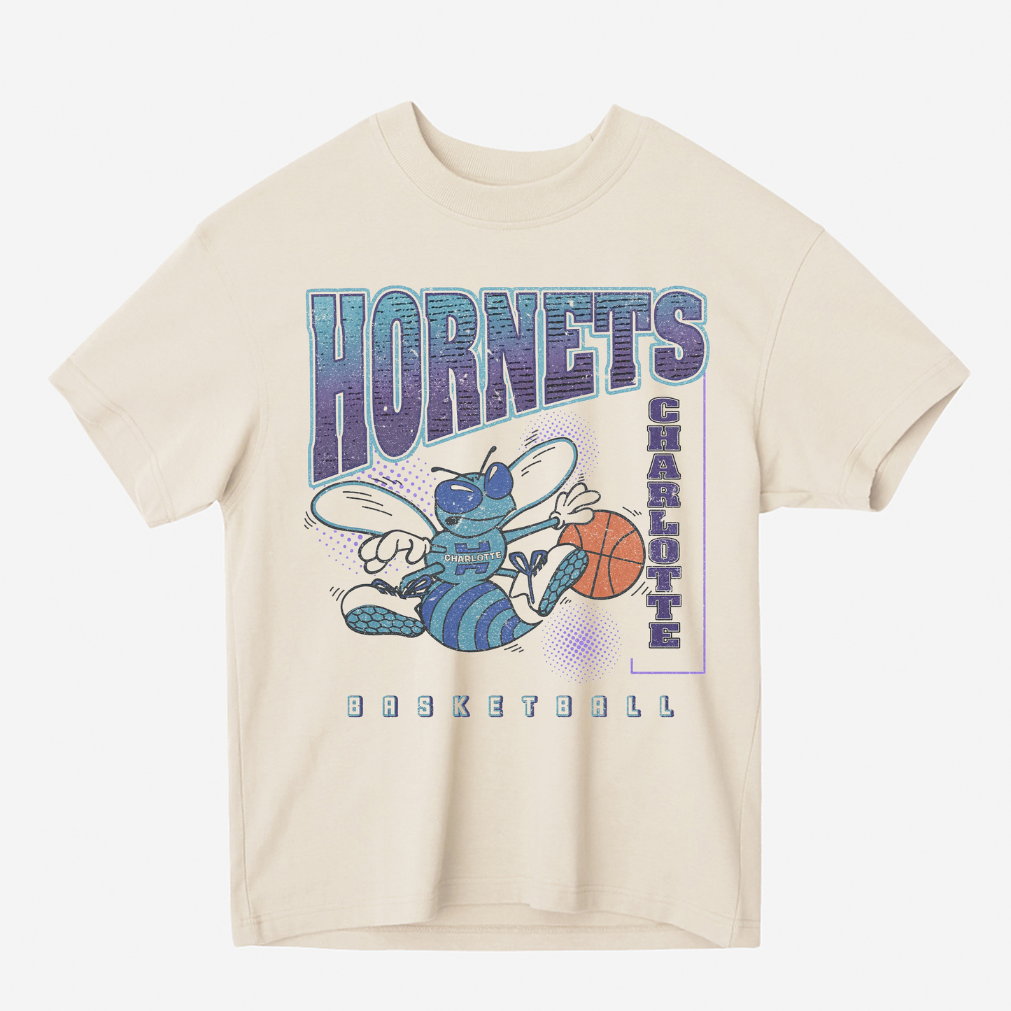CHARLOTTE HORNETS VINTAGE Heavyweight Graphic Tee Shirt