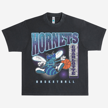 CHARLOTTE HORNETS VINTAGE Heavyweight Graphic Tee Shirt