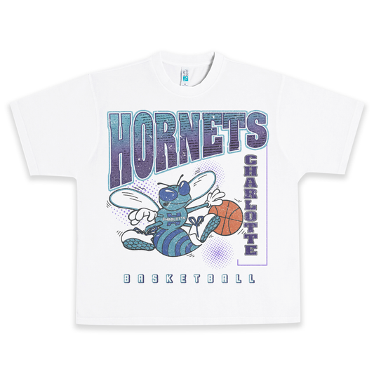 CHARLOTTE HORNETS VINTAGE Heavyweight Graphic Tee Shirt