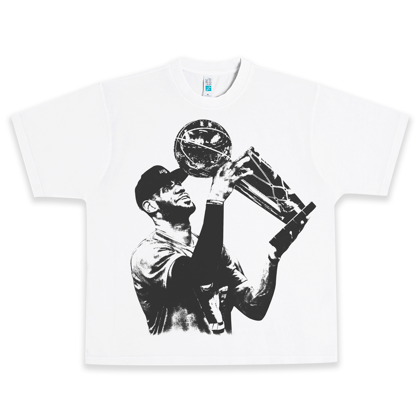 LeBron James Champion Heavyweight Graphic Tee Shirt